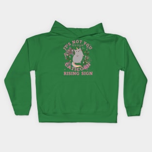 Caticorn Rising, Pawsitively Unique Kids Hoodie